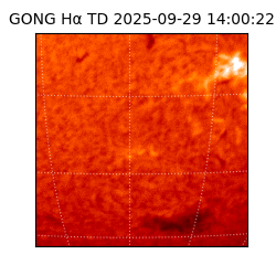 gong - 2025-09-29T14:00:22