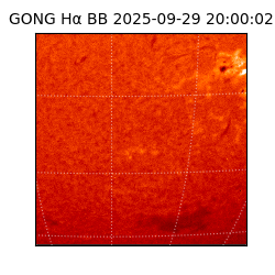 gong - 2025-09-29T20:00:02