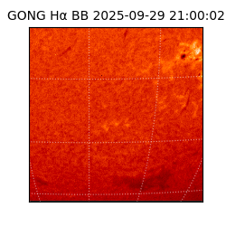 gong - 2025-09-29T21:00:02