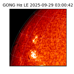 gong - 2025-09-29T03:00:42