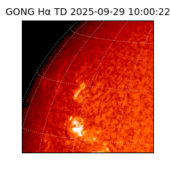 gong - 2025-09-29T10:00:22