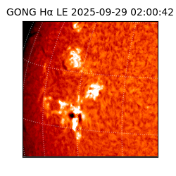 gong - 2025-09-29T02:00:42