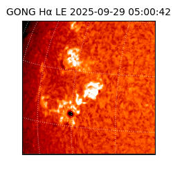 gong - 2025-09-29T05:00:42