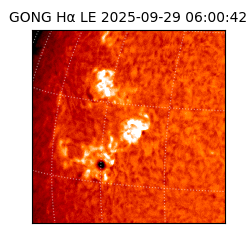 gong - 2025-09-29T06:00:42