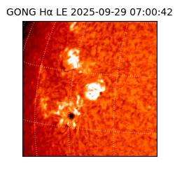 gong - 2025-09-29T07:00:42