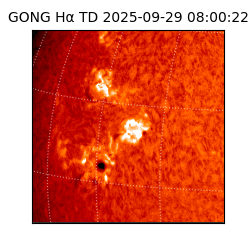 gong - 2025-09-29T08:00:22