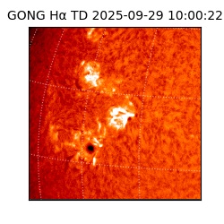 gong - 2025-09-29T10:00:22