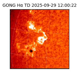 gong - 2025-09-29T12:00:22