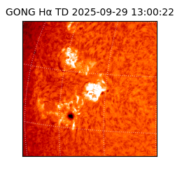 gong - 2025-09-29T13:00:22