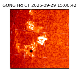 gong - 2025-09-29T15:00:42