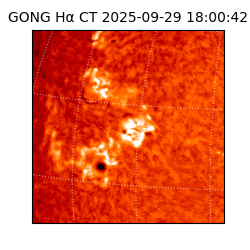 gong - 2025-09-29T18:00:42