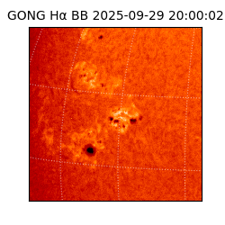 gong - 2025-09-29T20:00:02