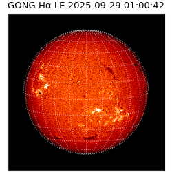 gong - 2025-09-29T01:00:42