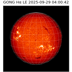 gong - 2025-09-29T04:00:42