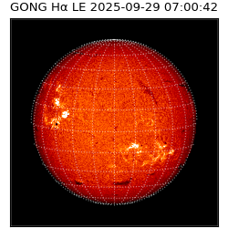 gong - 2025-09-29T07:00:42
