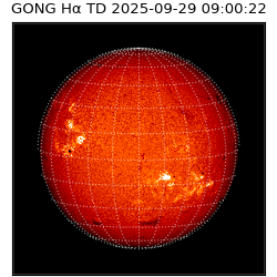 gong - 2025-09-29T09:00:22