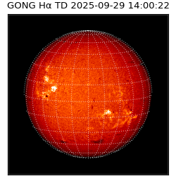 gong - 2025-09-29T14:00:22