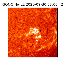 gong - 2025-09-30T03:00:42