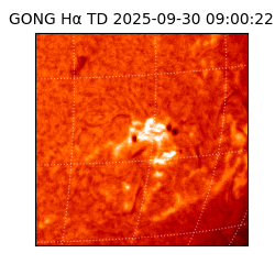 gong - 2025-09-30T09:00:22