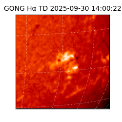 gong - 2025-09-30T14:00:22