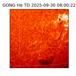 gong - 2025-09-30T08:00:22