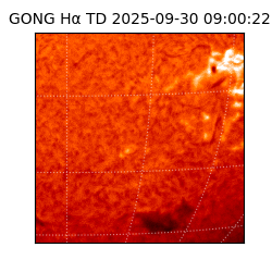 gong - 2025-09-30T09:00:22