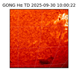 gong - 2025-09-30T10:00:22