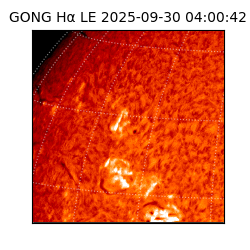 gong - 2025-09-30T04:00:42