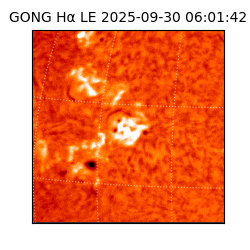 gong - 2025-09-30T06:01:42