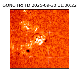 gong - 2025-09-30T11:00:22