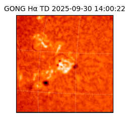 gong - 2025-09-30T14:00:22