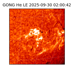 gong - 2025-09-30T02:00:42