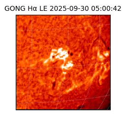 gong - 2025-09-30T05:00:42