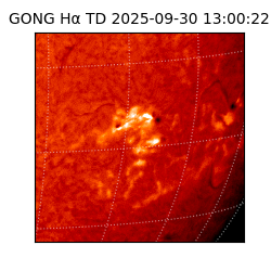 gong - 2025-09-30T13:00:22