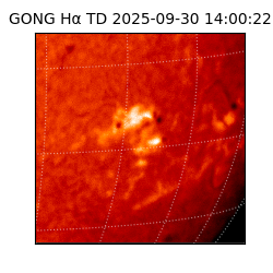 gong - 2025-09-30T14:00:22