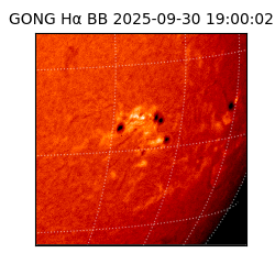 gong - 2025-09-30T19:00:02