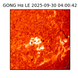 gong - 2025-09-30T04:00:42