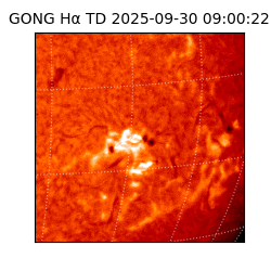 gong - 2025-09-30T09:00:22