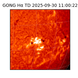 gong - 2025-09-30T11:00:22