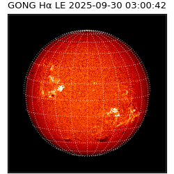 gong - 2025-09-30T03:00:42