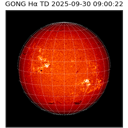 gong - 2025-09-30T09:00:22