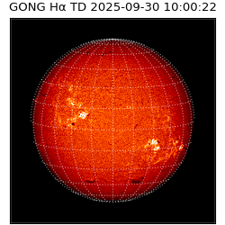gong - 2025-09-30T10:00:22