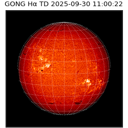 gong - 2025-09-30T11:00:22