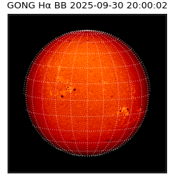 gong - 2025-09-30T20:00:02
