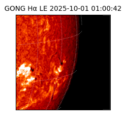 gong - 2025-10-01T01:00:42