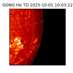 gong - 2025-10-01T10:03:22