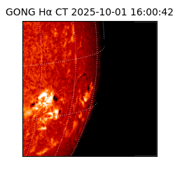 gong - 2025-10-01T16:00:42