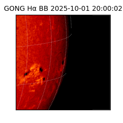 gong - 2025-10-01T20:00:02