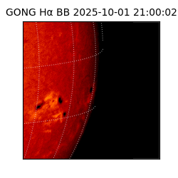 gong - 2025-10-01T21:00:02