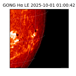 gong - 2025-10-01T01:00:42
